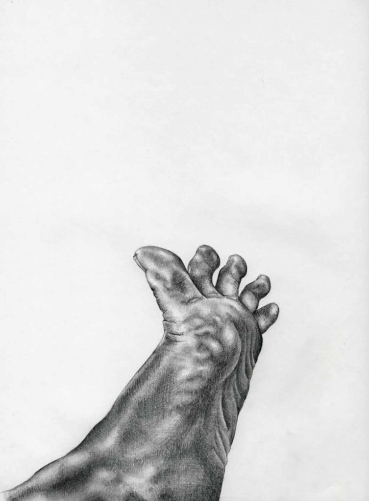 Dibujo clásico anatómico de Inés Rubio Roa en galería. Anatomical graphite drawing - classical art in gallery