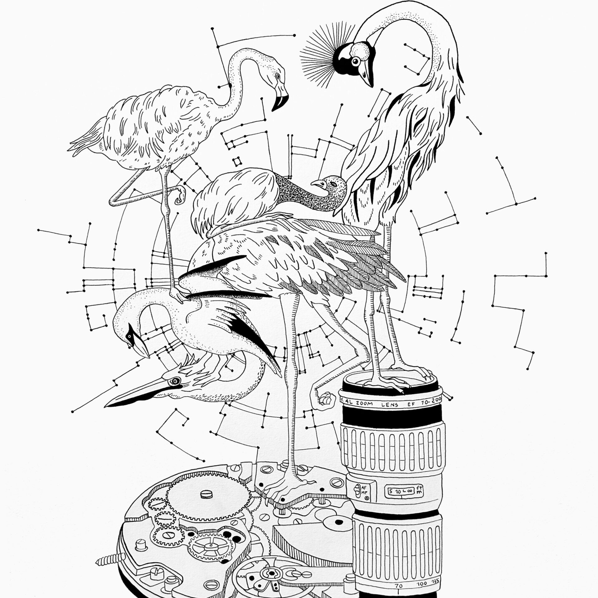 composicion inicio