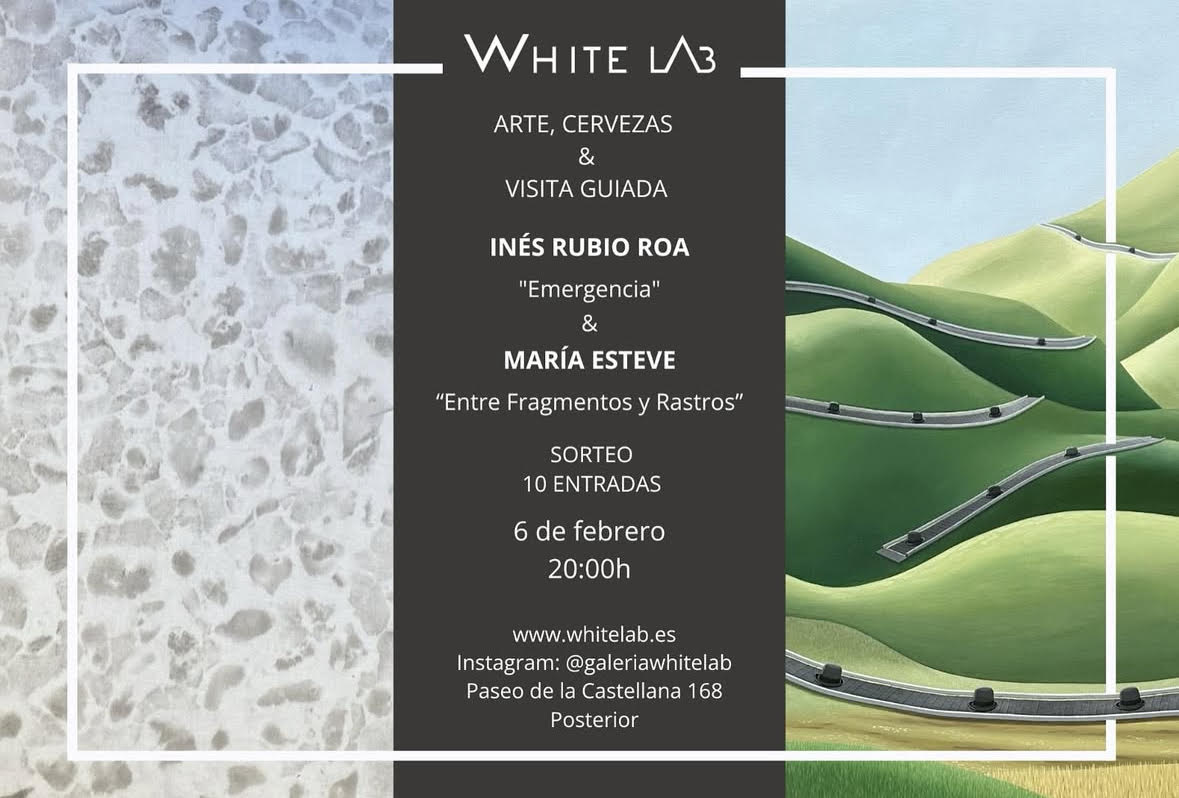 exposición en la galería whitelab de Inés Rubio Roa